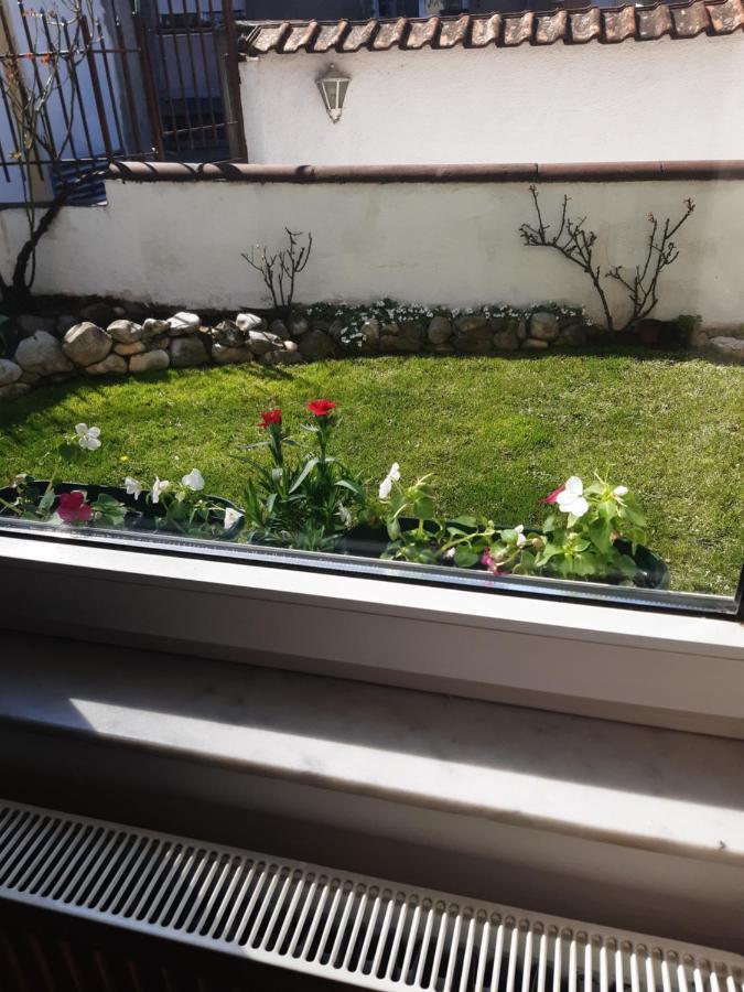 Apartman Mitic Požarevac Екстериор снимка